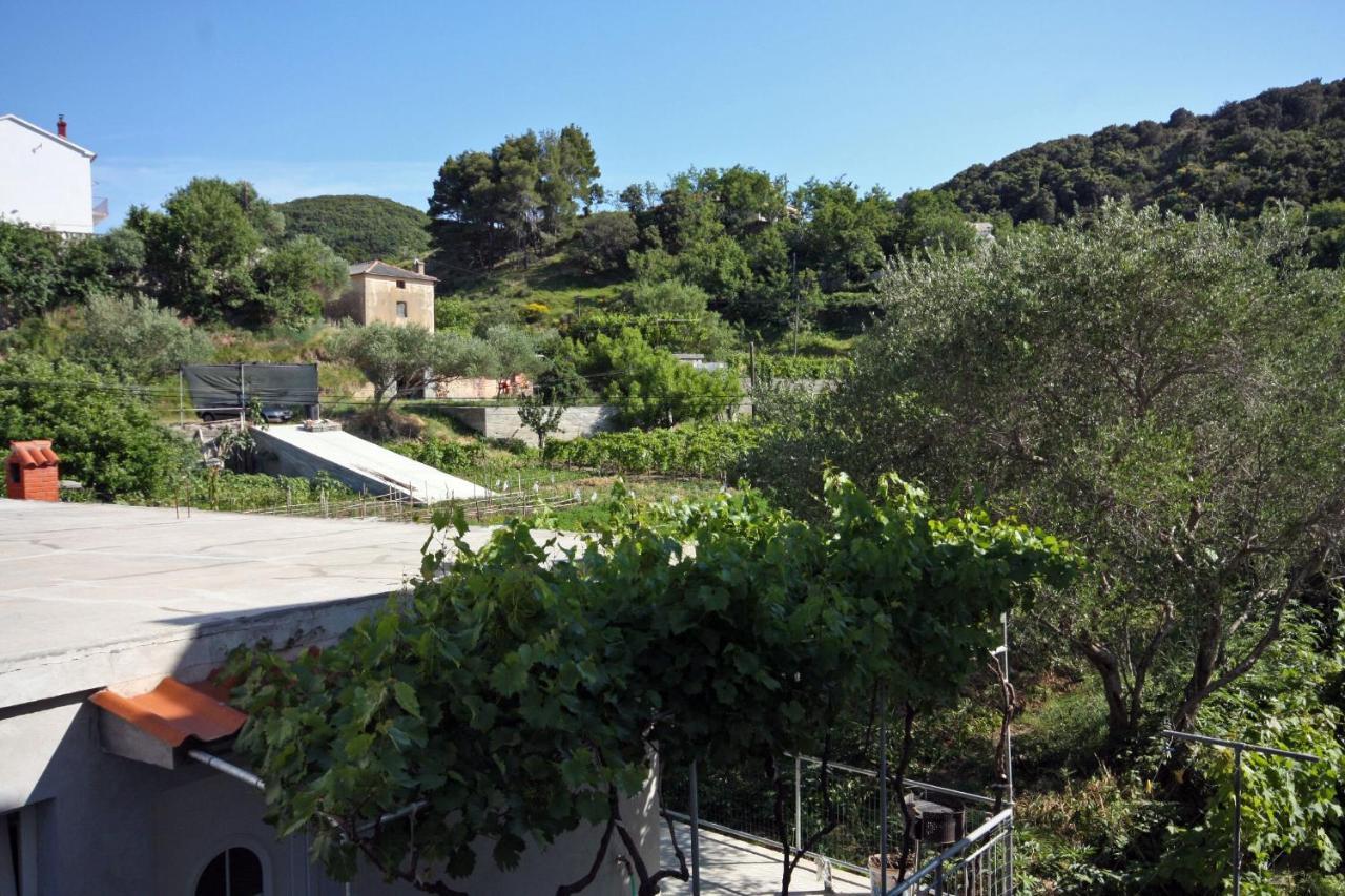 Family Friendly Apartments With A Swimming Pool Supetarska Draga - Donja, Rab - 2019 Esterno foto